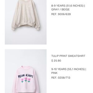 Zara Gray and Beige Kids Sweatshirts